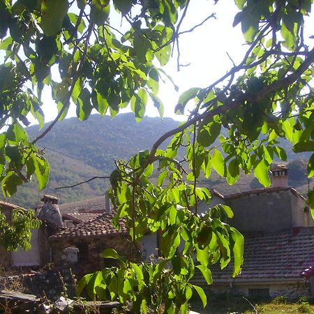 Madre Terra Pensionat La Puebla de la Sierra Eksteriør billede